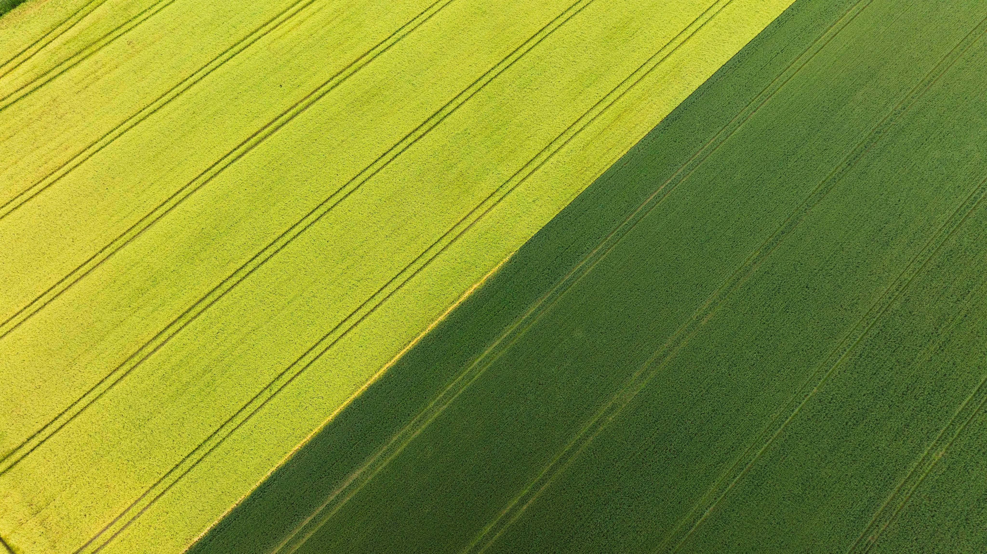 Green meadow at proposed Rathrush site, Co. Carlow