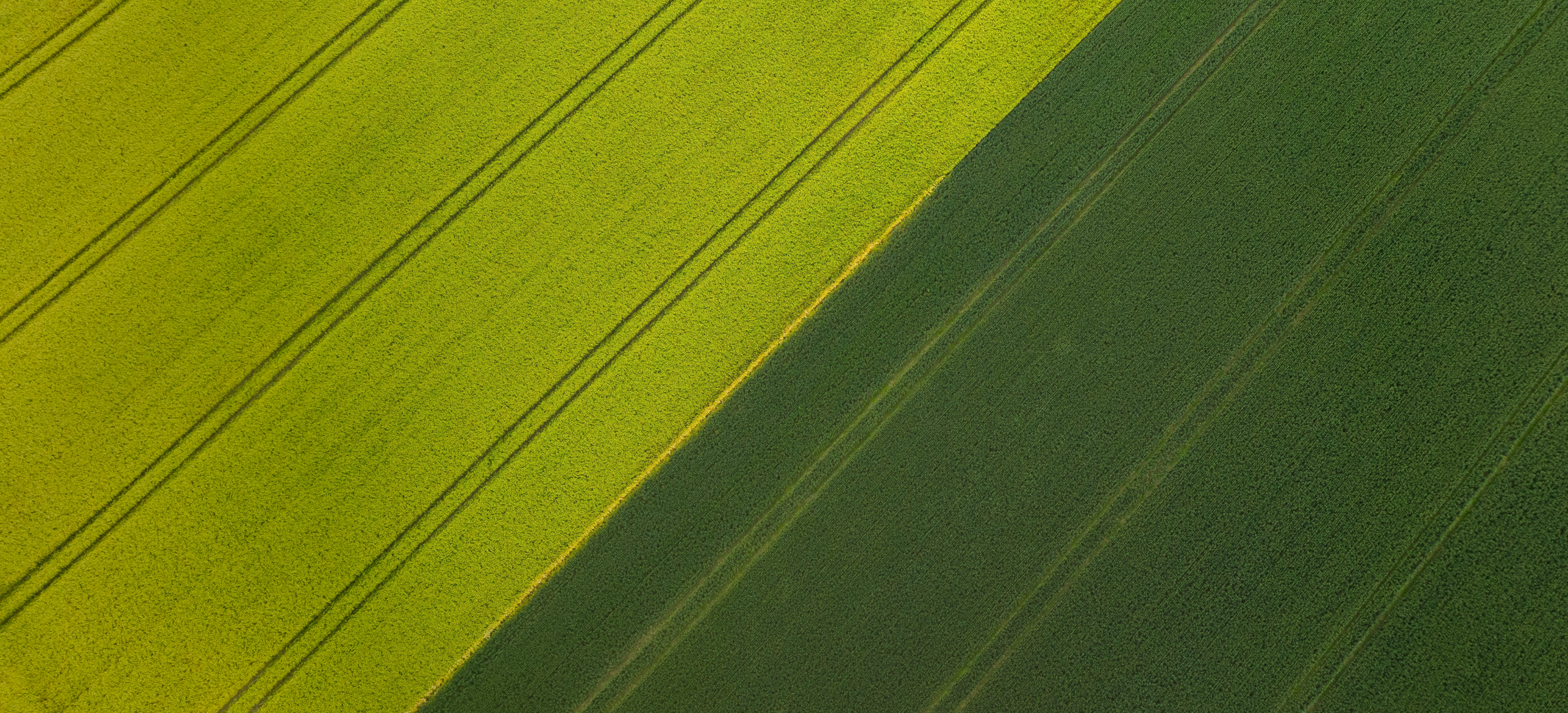 Green meadow at proposed Rathrush site, Co. Carlow